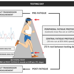 Fatigue may impair your vision.