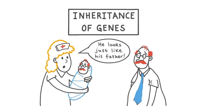 Science notebook introduction to genetics and patterns of inheritance