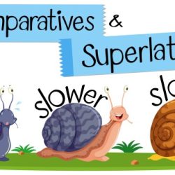 Transformar write the superlative form of each adjective